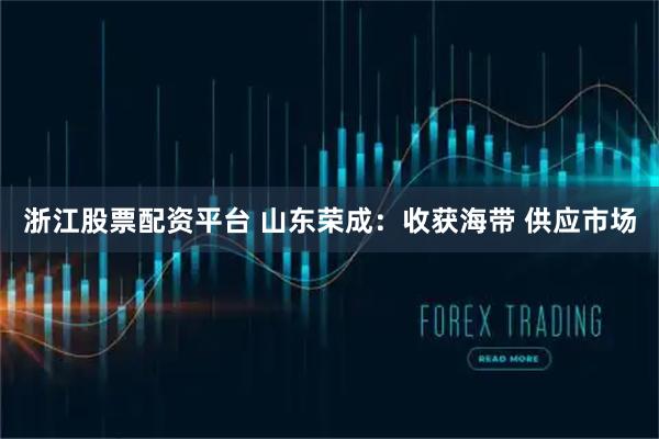 浙江股票配资平台 山东荣成：收获海带 供应市场