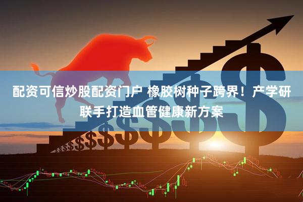 配资可信炒股配资门户 橡胶树种子跨界！产学研联手打造血管健康新方案